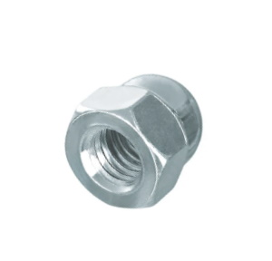 Гайка колпачковая 10 оцинк. DIN 1587 (10шт) арт.1277164